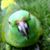 Michelle Kupper's profile image