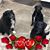 Vicky Lundquist Elsenpeter's profile image