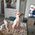 Ann Marie Blatnick's profile image