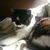 Kristin Halverson Wilson's profile image