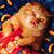 Sarah Holstein's profile image