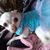 Fly Petrilli's profile image