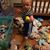 Kellye Anfenson Hannema's profile image