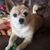 Sue M. Edwards's profile image