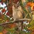 Robyn Gillis's profile image
