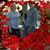 Carla Popp's profile image