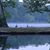 Bettina Privitera's profile image