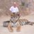 Colin Meyer's profile image