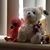 Tina Marie's profile image