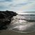 Joanna Bricker Kleier's profile image