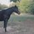Lynda McCarthy's profile image