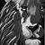 Debbi Mavity's profile image