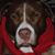 Suzanne Murray-Bruce's profile image