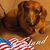 Mary A. Howe's profile image