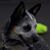 Mbr Lma's profile image