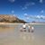 Suzie Lord Linebaugh's profile image