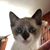 Jill Hall's profile image