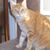 Gary Stryker's profile image
