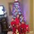 Belinda Sue Steckline DeWerff's profile image
