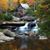 Bobbi Jo Trout's profile image