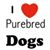 Kitty Adair's profile image