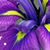 Catherine Albert's profile image