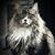 Krystal Hamblen Luaces's profile image
