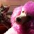 Tammy Cooper's profile image