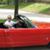 Dave Williams's profile image