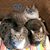 Margie Reehl's profile image