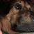Ashley R Braswell's profile image