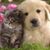 Sharon Collier Carman's profile image
