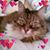 Becky Kobusch's profile image