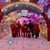 Lynda Pentz Chapman's profile image