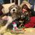 Robyn Cooper Henning's profile image