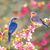 Alana Haulman Wilson's profile image