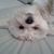 Peggy Wilbur's profile image