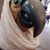 Nicole Wilson's profile image