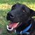 Shelly Berliew's profile image