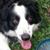 Linda Irestone's profile image