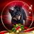 Sheila Mesick's profile image
