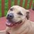 Marty Stanek's profile image