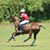 Francisco Questel's profile image