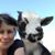 Kimberley Holman Kramer's profile image