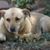 Corinne Erb's profile image