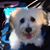 Tina Caron's profile image