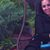 Marzieh Hamed's profile image