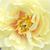 Christine Renfro Buff's profile image