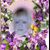 Maddie Hodges's profile image