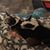 Linda Brown Norton's profile image
